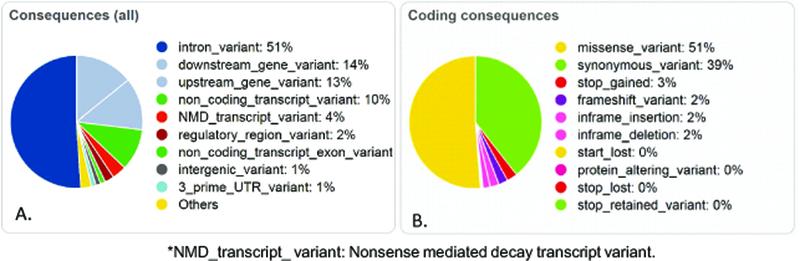 https://cdn.ncbi.nlm.nih.gov/pmc/blobs/6f97/6522337/947daa6a80ec/nihms-1508276-f0003.jpg