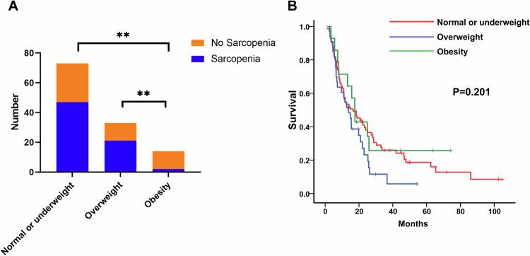 https://cdn.ncbi.nlm.nih.gov/pmc/blobs/6f98/11835987/5a99d52c2760/330_2025_11349_Fig4_HTML.jpg