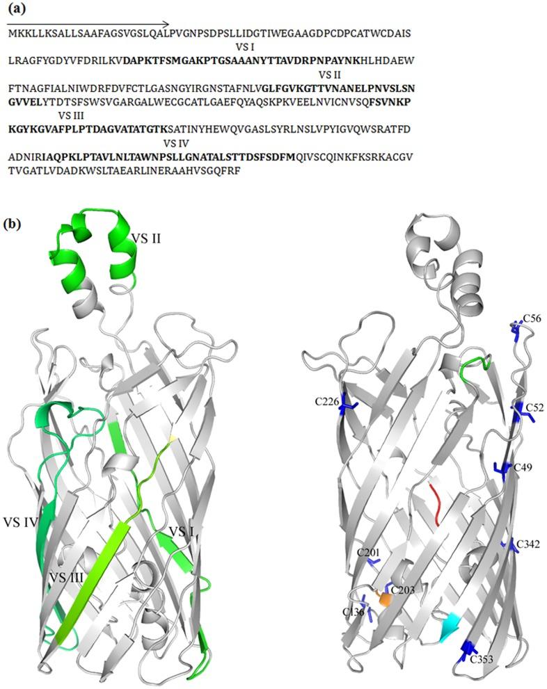 https://cdn.ncbi.nlm.nih.gov/pmc/blobs/6f98/3634821/b98115addf43/pone.0061139.g002.jpg