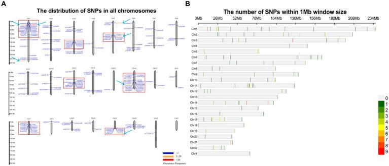 https://cdn.ncbi.nlm.nih.gov/pmc/blobs/6f99/11033379/0da2a3dd746d/fnins-18-1293400-g009.jpg