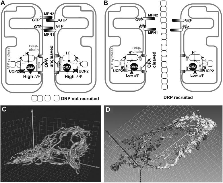 https://cdn.ncbi.nlm.nih.gov/pmc/blobs/6f9b/6071544/7f9526aee623/fig-14.jpg
