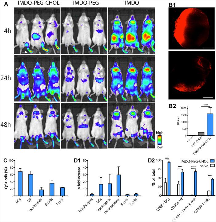 https://cdn.ncbi.nlm.nih.gov/pmc/blobs/6f9b/7587831/a6f534df484d/nihpp-2020.10.23.344085-f0003.jpg
