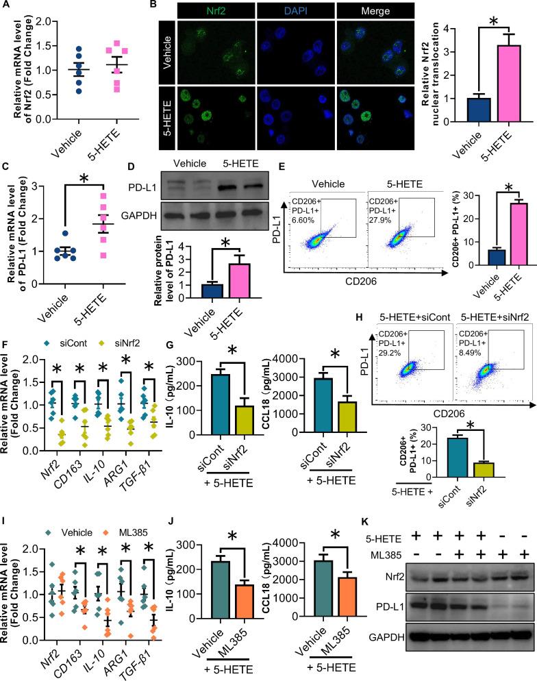 https://cdn.ncbi.nlm.nih.gov/pmc/blobs/6f9d/11332009/2eb2d46bfe17/jitc-12-8-g005.jpg