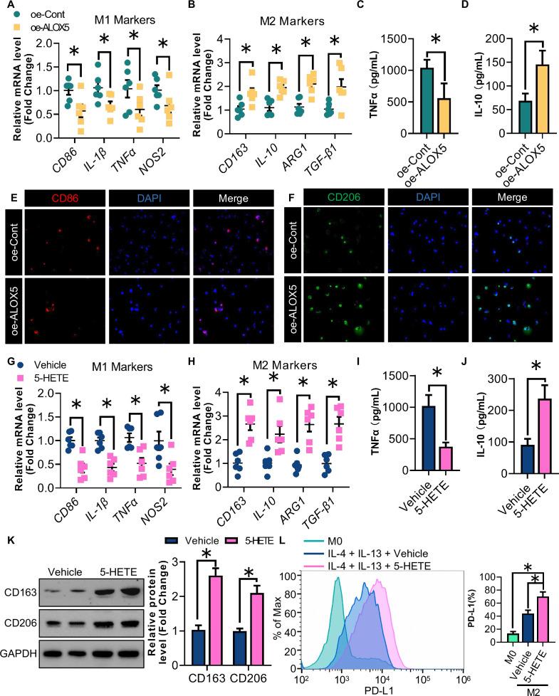 https://cdn.ncbi.nlm.nih.gov/pmc/blobs/6f9d/11332009/9fd4e649f820/jitc-12-8-g004.jpg