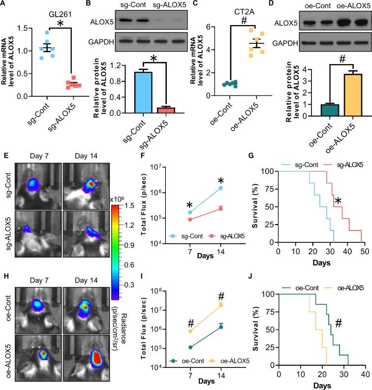 https://cdn.ncbi.nlm.nih.gov/pmc/blobs/6f9d/11332009/a014fe18943a/jitc-12-8-g002.jpg
