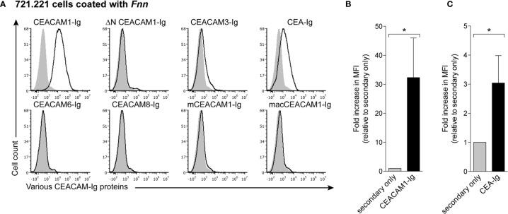 https://cdn.ncbi.nlm.nih.gov/pmc/blobs/6f9f/8319768/4285547d4e74/fcimb-11-692544-g001.jpg
