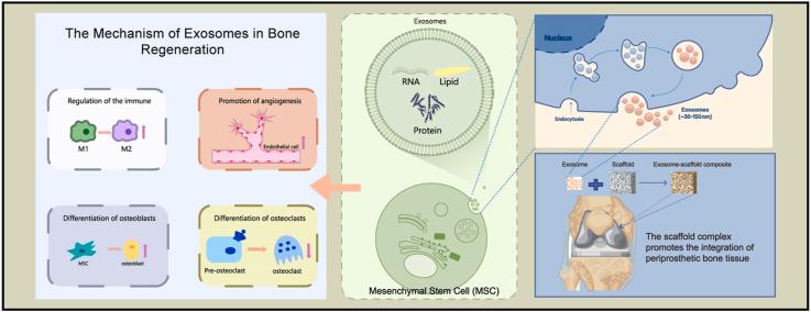 https://cdn.ncbi.nlm.nih.gov/pmc/blobs/6fa0/12023751/adaf0d66a3eb/ga1.jpg