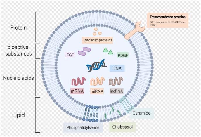 https://cdn.ncbi.nlm.nih.gov/pmc/blobs/6fa0/12023751/c0e27971f43a/gr1.jpg