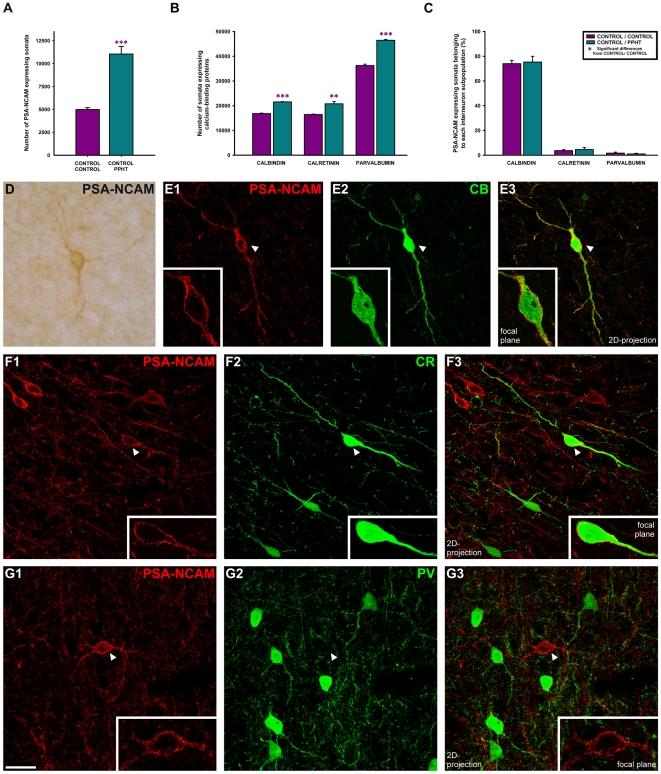 https://cdn.ncbi.nlm.nih.gov/pmc/blobs/6fa2/3247286/735d0131bdc1/pone.0029516.g003.jpg