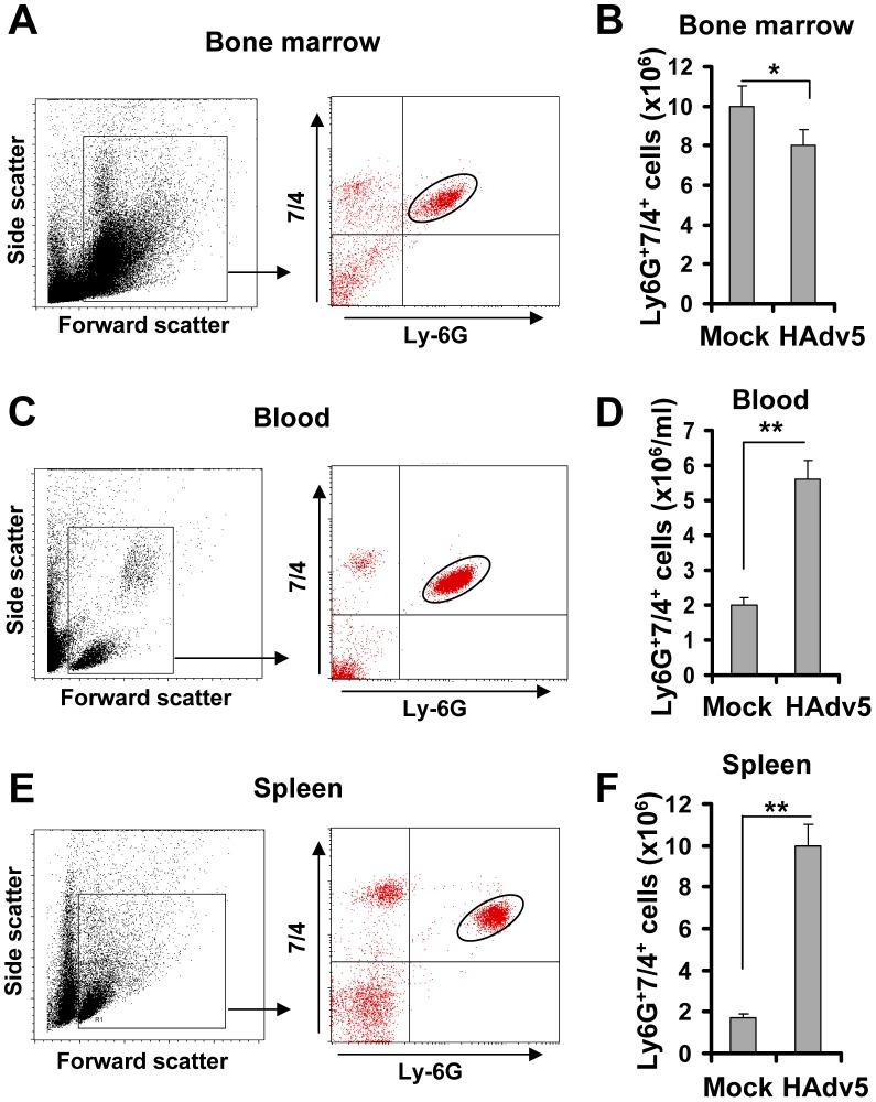 https://cdn.ncbi.nlm.nih.gov/pmc/blobs/6fa3/3961377/0184d33bbf87/ppat.1004035.g001.jpg