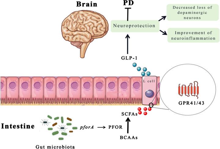 https://cdn.ncbi.nlm.nih.gov/pmc/blobs/6fa4/11380289/2a18af32e7f6/jpd-14-jpd240244-g005.jpg
