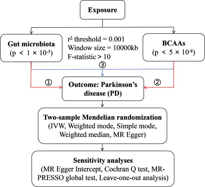 https://cdn.ncbi.nlm.nih.gov/pmc/blobs/6fa4/11380289/faf9a666ad13/jpd-14-jpd240244-g001.jpg
