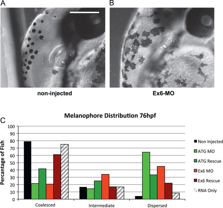 https://cdn.ncbi.nlm.nih.gov/pmc/blobs/6fa4/3632754/a7fcbaa5a0b7/gr4.jpg