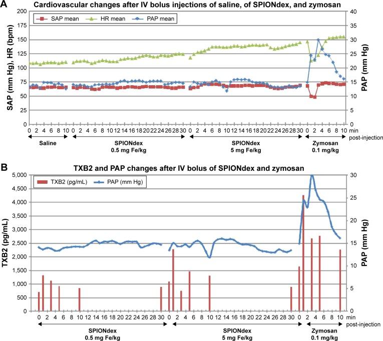 https://cdn.ncbi.nlm.nih.gov/pmc/blobs/6fa5/5533574/3059fb77db80/ijn-12-5223Fig4.jpg