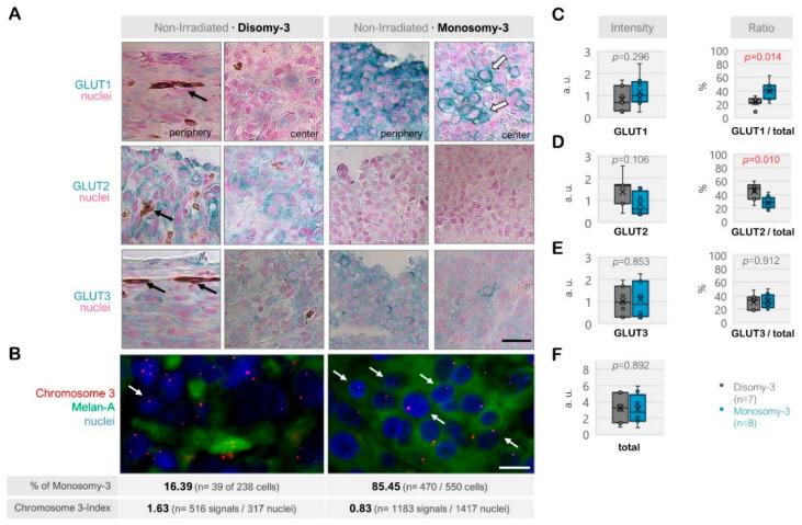 https://cdn.ncbi.nlm.nih.gov/pmc/blobs/6fa5/7762573/062869ffb12c/ijms-21-09345-g002.jpg