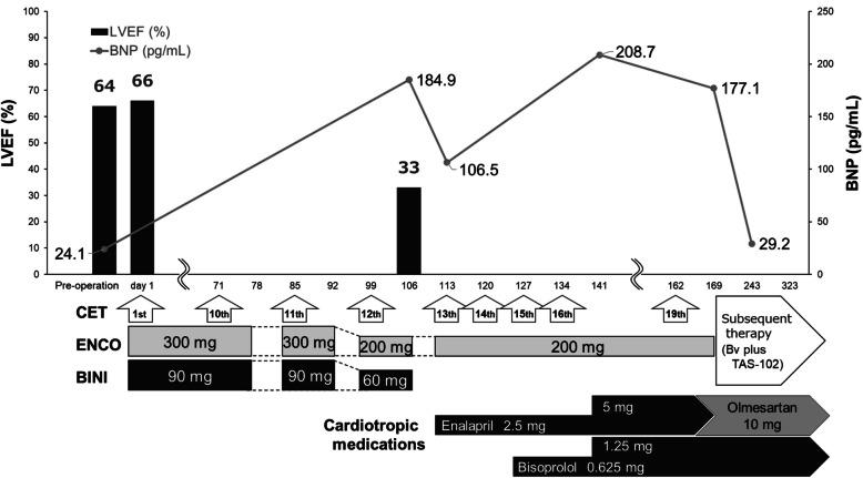 https://cdn.ncbi.nlm.nih.gov/pmc/blobs/6fa6/12400612/348c914ce550/40780_2025_480_Fig1_HTML.jpg