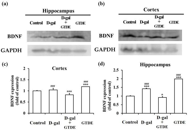 https://cdn.ncbi.nlm.nih.gov/pmc/blobs/6fa6/8989198/c565d4f63559/pone.0266331.g005.jpg