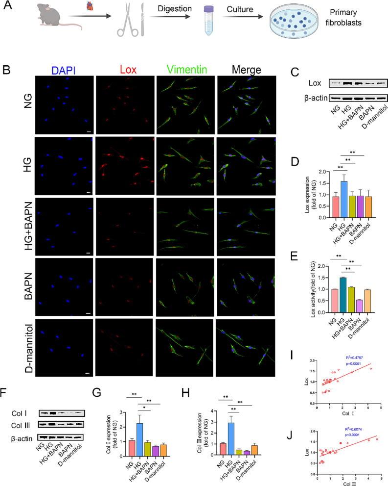 https://cdn.ncbi.nlm.nih.gov/pmc/blobs/6fa7/10703720/399db5d10166/gr6.jpg