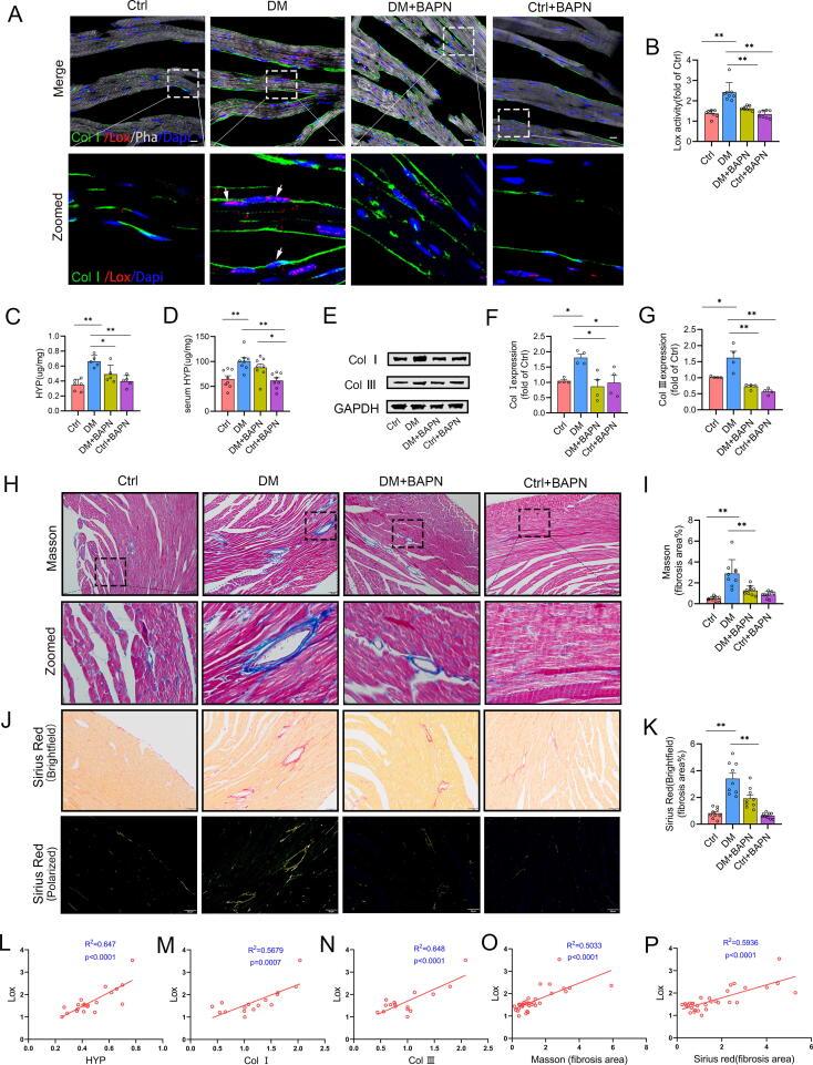 https://cdn.ncbi.nlm.nih.gov/pmc/blobs/6fa7/10703720/7e073ae68f3f/gr5.jpg