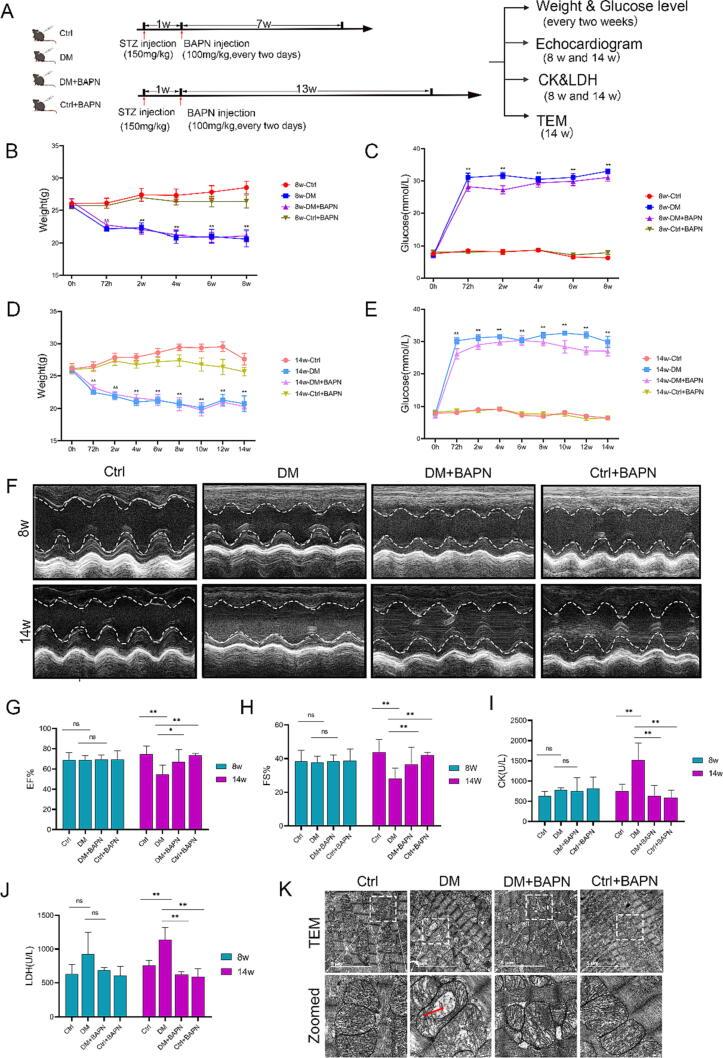 https://cdn.ncbi.nlm.nih.gov/pmc/blobs/6fa7/10703720/c5ce85bc41b2/gr4.jpg