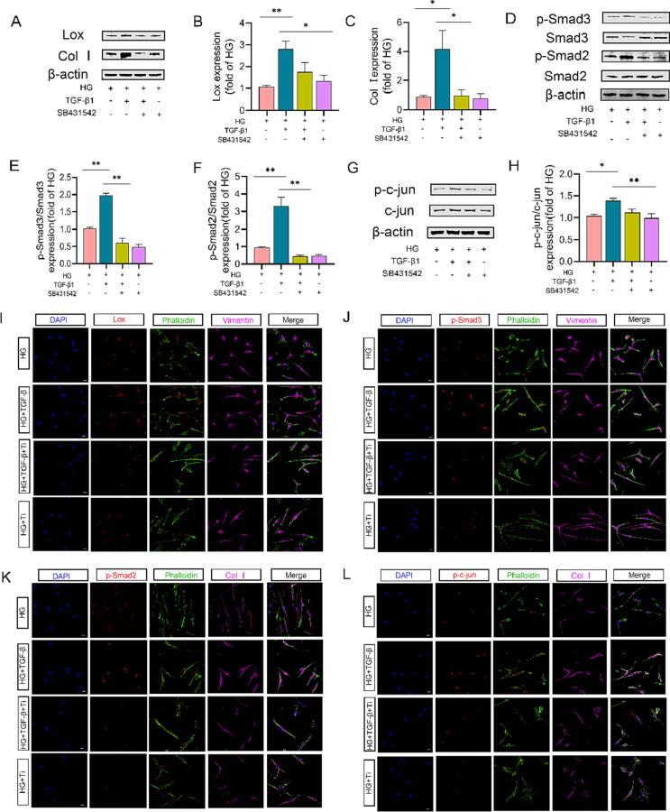 https://cdn.ncbi.nlm.nih.gov/pmc/blobs/6fa7/10703720/d5b2fe2d3400/gr7.jpg