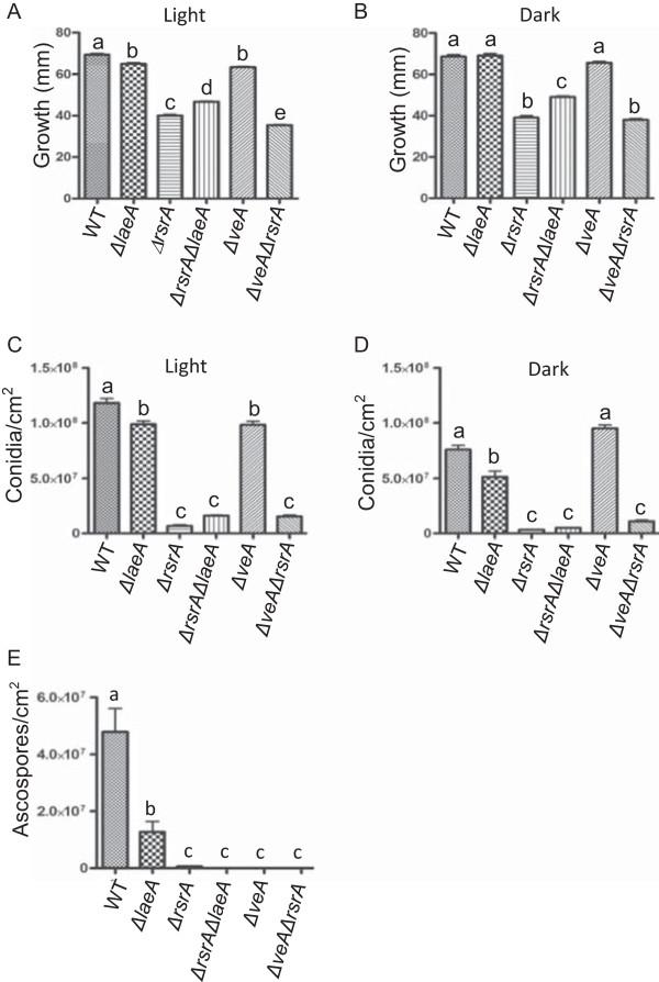 https://cdn.ncbi.nlm.nih.gov/pmc/blobs/6faa/4252986/b9129101d87e/12864_2014_6708_Fig2_HTML.jpg