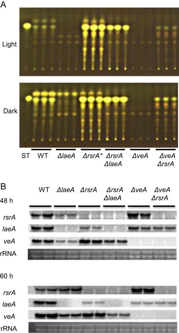 https://cdn.ncbi.nlm.nih.gov/pmc/blobs/6faa/4252986/d7ad1c5ff3f3/12864_2014_6708_Fig1_HTML.jpg