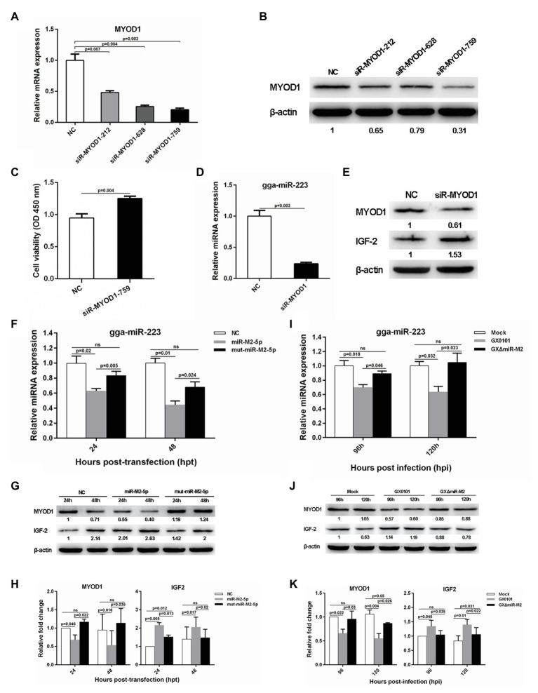 https://cdn.ncbi.nlm.nih.gov/pmc/blobs/6fab/7669912/1d2391b2fb4d/fmicb-11-596422-g006.jpg