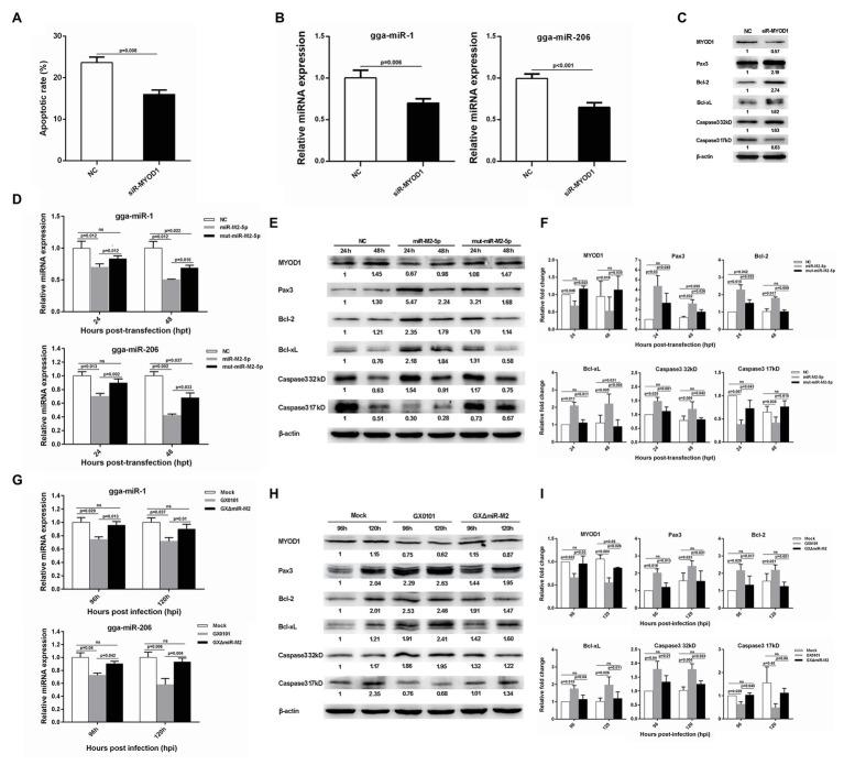 https://cdn.ncbi.nlm.nih.gov/pmc/blobs/6fab/7669912/ade7eb5e2fa5/fmicb-11-596422-g007.jpg