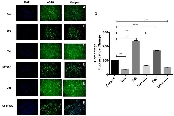 https://cdn.ncbi.nlm.nih.gov/pmc/blobs/6fac/6190869/06e068e1cc69/fnagi-10-00291-g0009.jpg