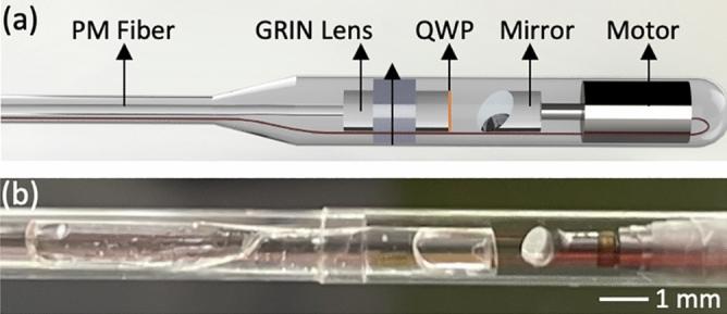 https://cdn.ncbi.nlm.nih.gov/pmc/blobs/6fac/9046432/36b90709bca4/41598_2022_10709_Fig6_HTML.jpg