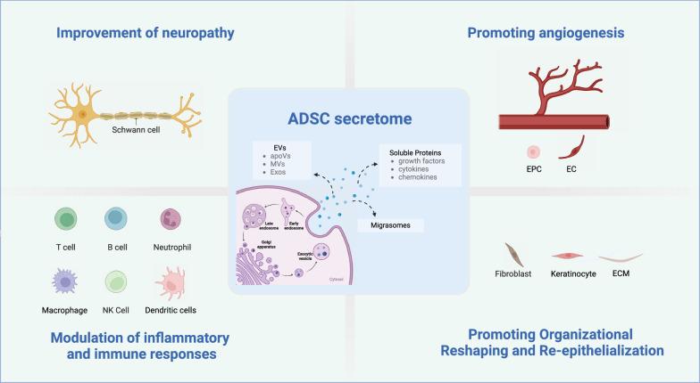 https://cdn.ncbi.nlm.nih.gov/pmc/blobs/6fad/11373215/e1d83747e289/13287_2024_3912_Fig2_HTML.jpg