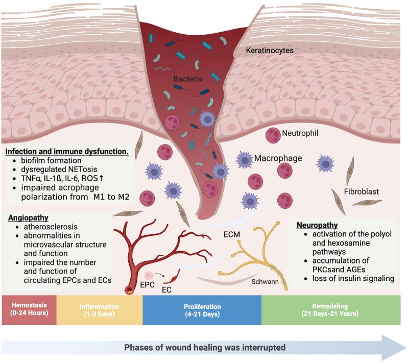 https://cdn.ncbi.nlm.nih.gov/pmc/blobs/6fad/11373215/f29fd1e6c817/13287_2024_3912_Fig1_HTML.jpg