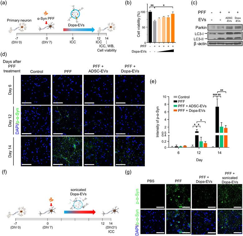 https://cdn.ncbi.nlm.nih.gov/pmc/blobs/6fae/11621972/022b70764d0a/JEV2-13-e70018-g002.jpg