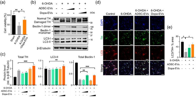 https://cdn.ncbi.nlm.nih.gov/pmc/blobs/6fae/11621972/2c04f3528a41/JEV2-13-e70018-g007.jpg