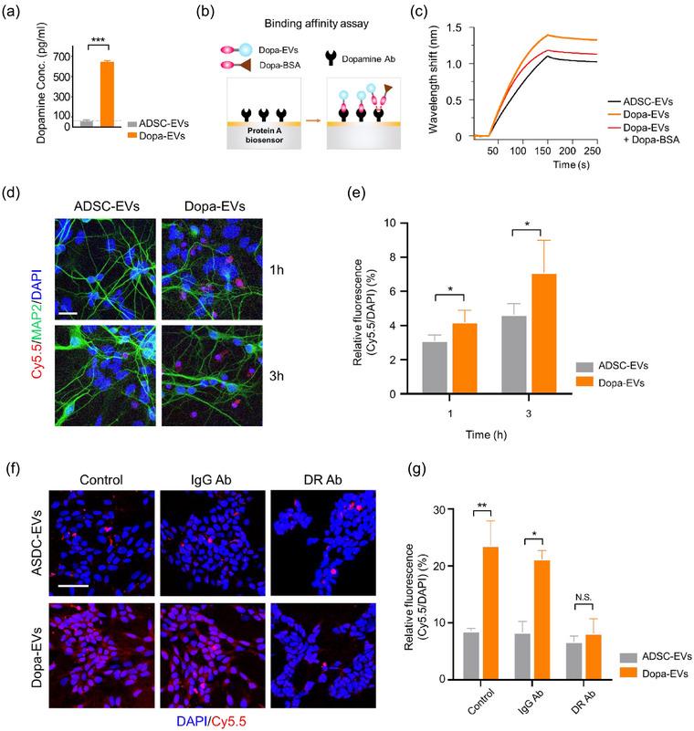 https://cdn.ncbi.nlm.nih.gov/pmc/blobs/6fae/11621972/81437da27d62/JEV2-13-e70018-g003.jpg