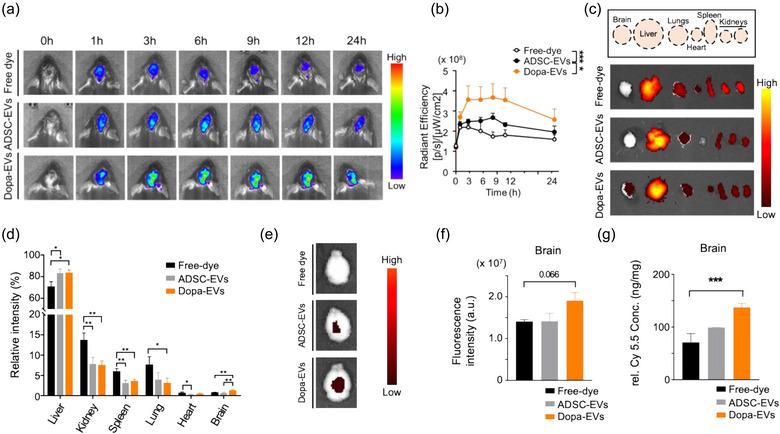 https://cdn.ncbi.nlm.nih.gov/pmc/blobs/6fae/11621972/96d53bfba9e9/JEV2-13-e70018-g001.jpg