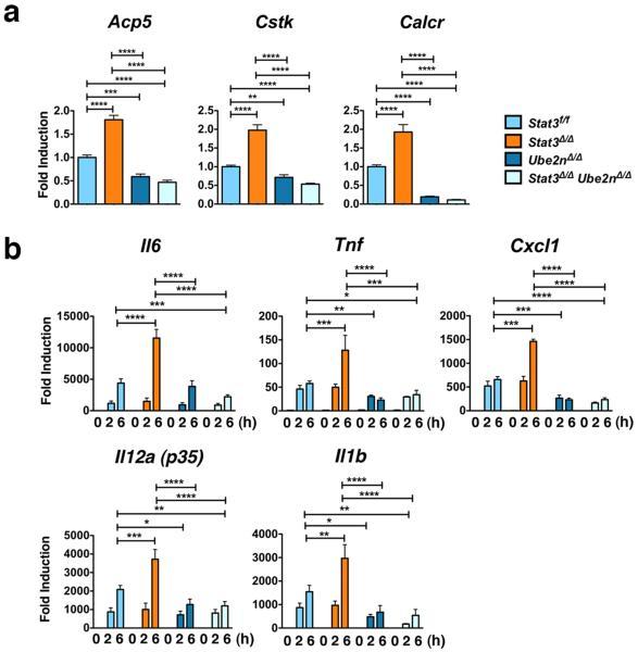 https://cdn.ncbi.nlm.nih.gov/pmc/blobs/6fae/4270087/a5502b90469b/nihms-641837-f0002.jpg