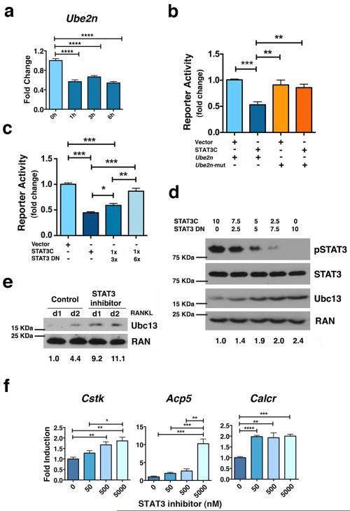 https://cdn.ncbi.nlm.nih.gov/pmc/blobs/6fae/4270087/b0aa6f427fef/nihms-641837-f0004.jpg