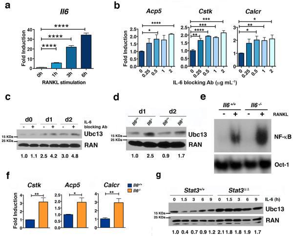 https://cdn.ncbi.nlm.nih.gov/pmc/blobs/6fae/4270087/b4ea7d609a13/nihms-641837-f0003.jpg