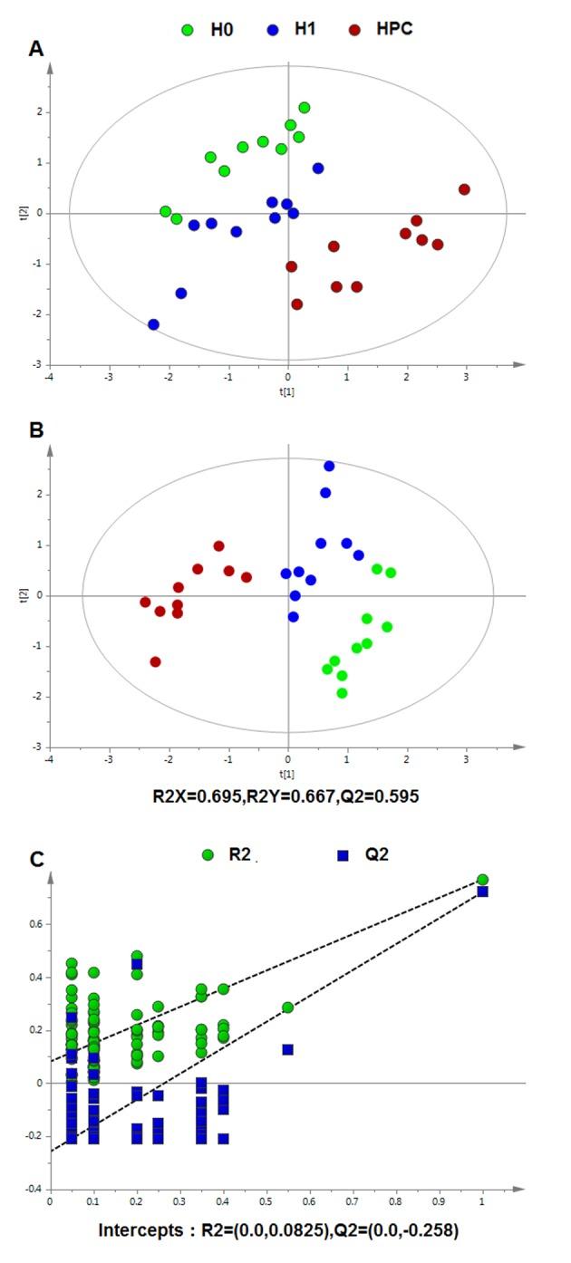 https://cdn.ncbi.nlm.nih.gov/pmc/blobs/6fae/5865841/4ec09bf757cf/mmr-16-05-6828-g01.jpg