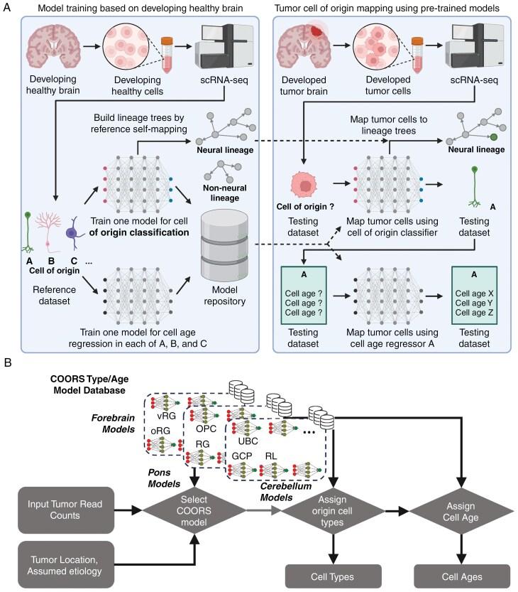 https://cdn.ncbi.nlm.nih.gov/pmc/blobs/6fb3/12046312/b5827e93e6bf/vdaf016_fig1.jpg