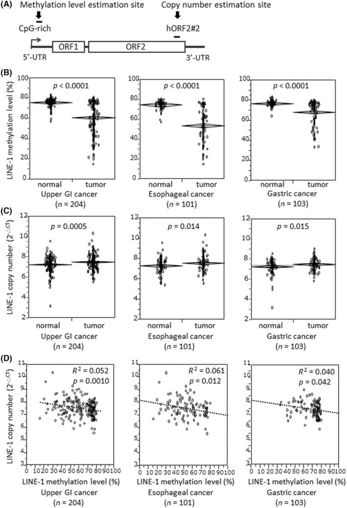 https://cdn.ncbi.nlm.nih.gov/pmc/blobs/6fb5/10823286/e1524fa83bc2/CAS-115-247-g003.jpg