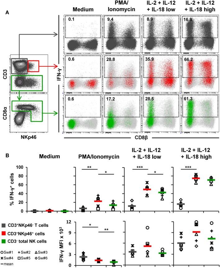 https://cdn.ncbi.nlm.nih.gov/pmc/blobs/6fb8/4943943/c91774109941/fimmu-07-00263-g004.jpg