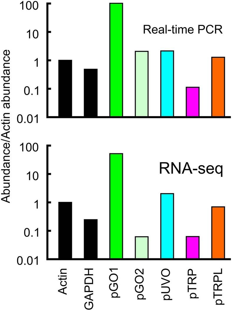 https://cdn.ncbi.nlm.nih.gov/pmc/blobs/6fba/4513288/62bd92443c15/fphys-06-00207-g0002.jpg