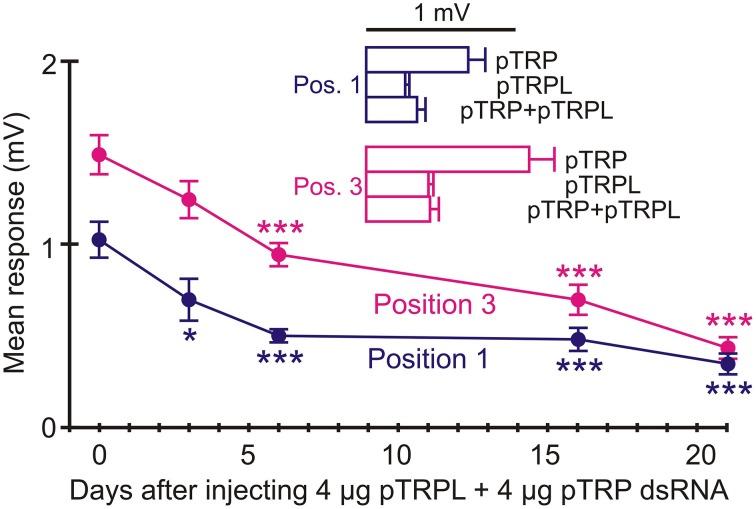https://cdn.ncbi.nlm.nih.gov/pmc/blobs/6fba/4513288/a6a037c8dcf9/fphys-06-00207-g0009.jpg