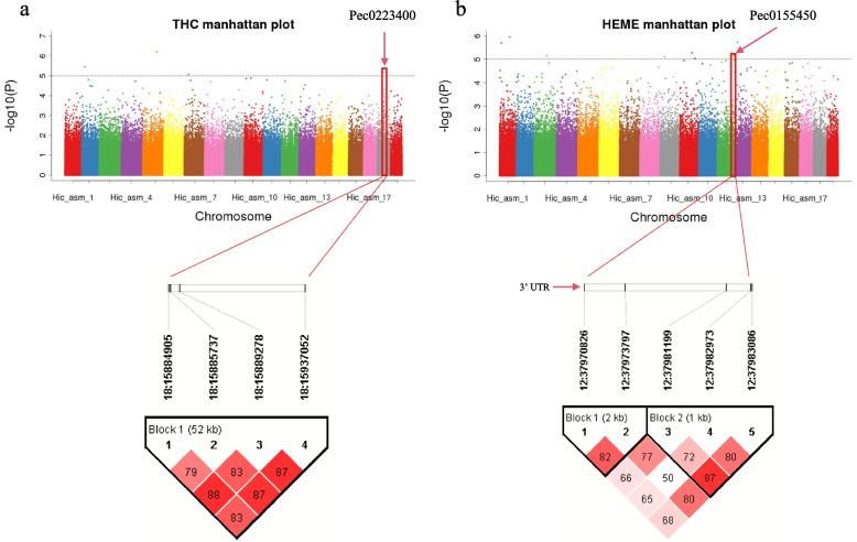 https://cdn.ncbi.nlm.nih.gov/pmc/blobs/6fbb/11452991/2e6f308ae492/12864_2024_10857_Fig3_HTML.jpg