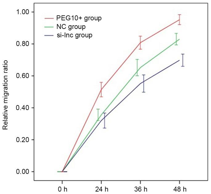 https://cdn.ncbi.nlm.nih.gov/pmc/blobs/6fbb/5588139/c7c1e959a65f/ol-14-03-2919-g04.jpg