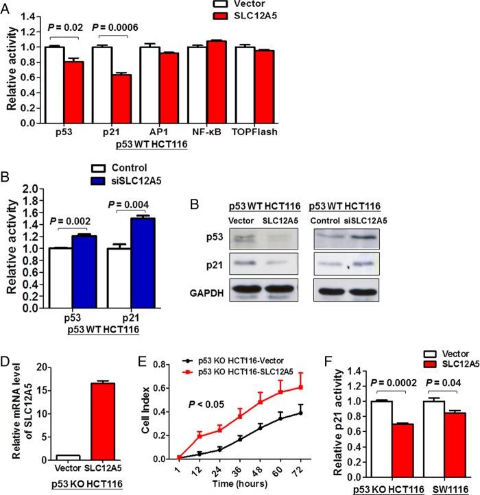 https://cdn.ncbi.nlm.nih.gov/pmc/blobs/6fbc/4819609/7e66d75399c5/gutjnl-2014-308257f05.jpg