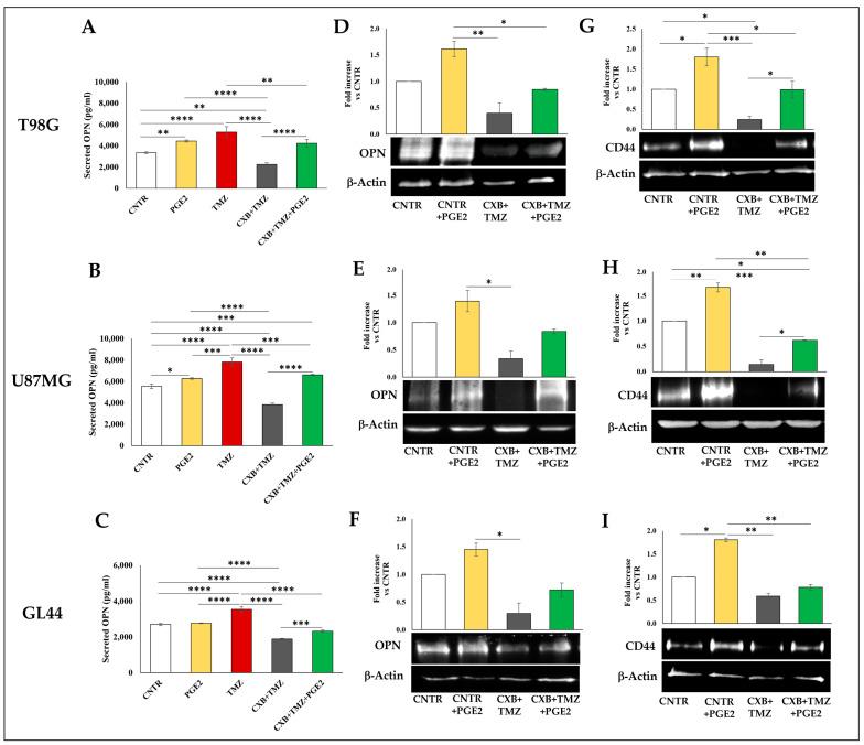 https://cdn.ncbi.nlm.nih.gov/pmc/blobs/6fbd/10854914/72ff8db52d33/cells-13-00258-g008.jpg
